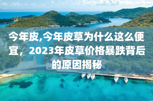 今年皮,今年皮草为什么这么便宜，2023年皮草价格暴跌背后的原因揭秘
