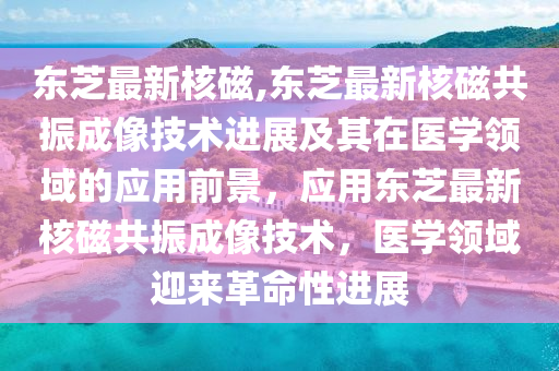东芝最新核磁,东芝最新核磁共振成像技术进展及其在医学领域的应用前景，应用东芝最新核磁共振成像技术，医学领域迎来革命性进展