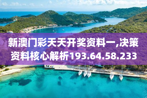 新澳门彩天天开奖资料一,决策资料核心解析193.64.58.233