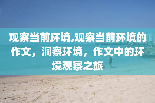 观察当前环境,观察当前环境的作文，洞察环境，作文中的环境观察之旅