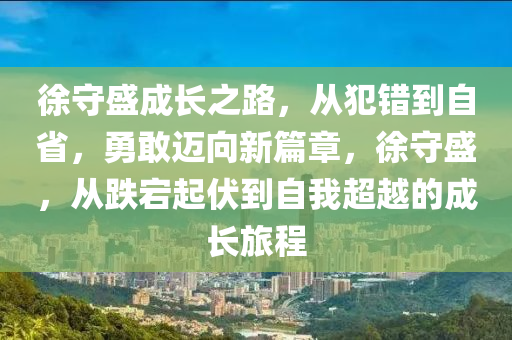 徐守盛成长之路，从犯错到自省，勇敢迈向新篇章，徐守盛，从跌宕起伏到自我超越的成长旅程