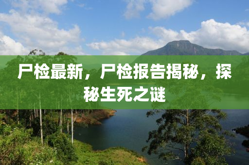 历史 第226页