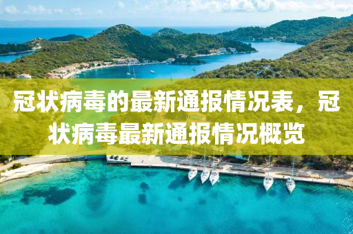 冠状病毒的最新通报情况表，冠状病毒最新通报情况概览