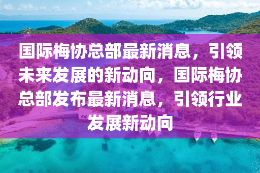 国际梅协总部最新消息，引领未来发展的新动向，国际梅协总部发布最新消息，引领行业发展新动向