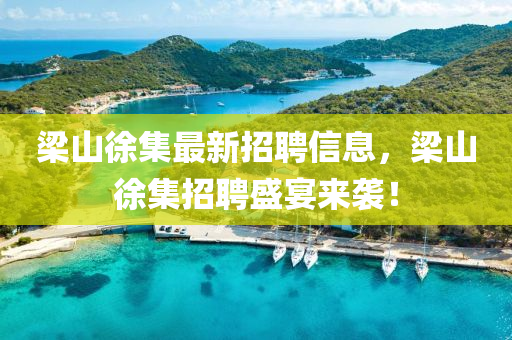 梁山徐集最新招聘信息，梁山徐集招聘盛宴来袭！