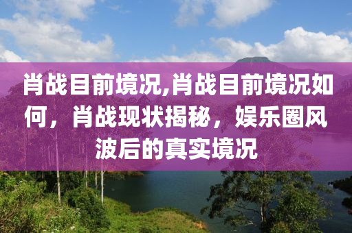肖战目前境况,肖战目前境况如何，肖战现状揭秘，娱乐圈风波后的真实境况