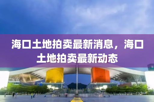 海口土地拍卖最新消息，海口土地拍卖最新动态