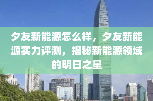 夕友新能源怎么样，夕友新能源实力评测，揭秘新能源领域的明日之星