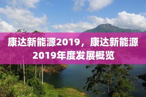 康达新能源2019，康达新能源2019年度发展概览
