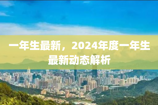 一年生最新，2024年度一年生最新动态解析