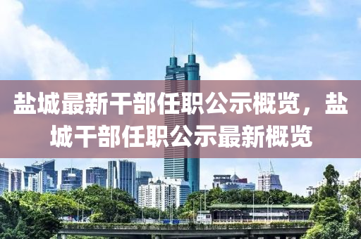 盐城最新干部任职公示概览，盐城干部任职公示最新概览