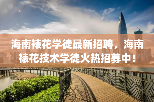 海南裱花学徒最新招聘，海南裱花技术学徒火热招募中！