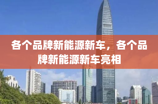 各个品牌新能源新车，各个品牌新能源新车亮相