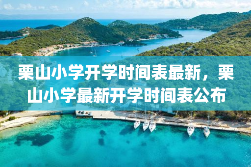 栗山小学开学时间表最新，栗山小学最新开学时间表公布