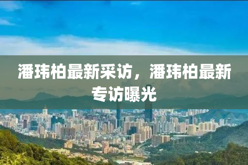 潘玮柏最新采访，潘玮柏最新专访曝光