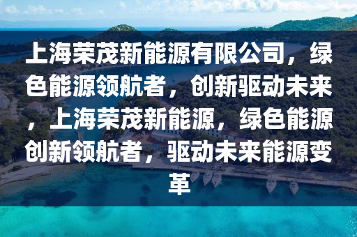 上海荣茂新能源有限公司，绿色能源领航者，创新驱动未来，上海荣茂新能源，绿色能源创新领航者，驱动未来能源变革