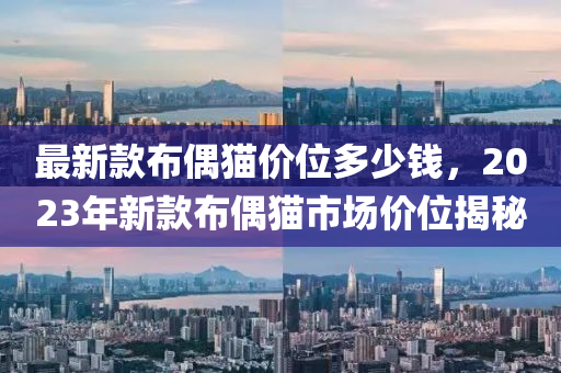 最新款布偶猫价位多少钱，2023年新款布偶猫市场价位揭秘