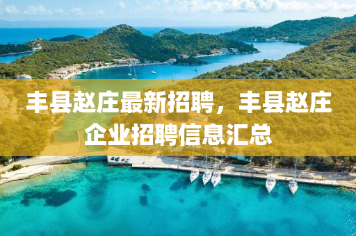 丰县赵庄最新招聘，丰县赵庄企业招聘信息汇总