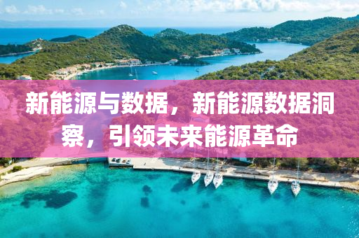 新能源与数据，新能源数据洞察，引领未来能源革命