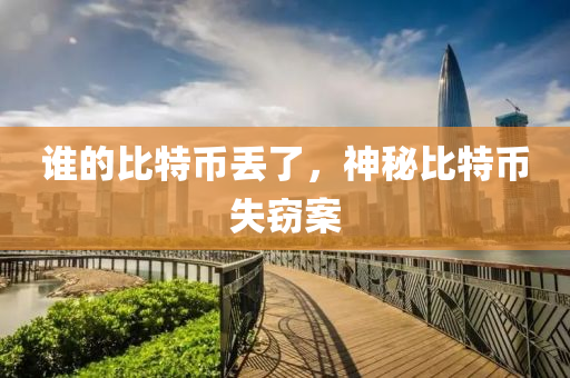 谁的比特币丢了，神秘比特币失窃案