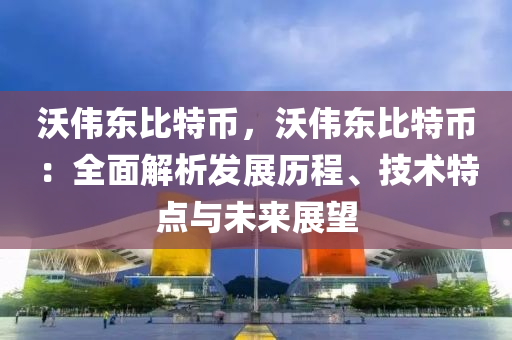 沃伟东比特币，沃伟东比特币：全面解析发展历程、技术特点与未来展望