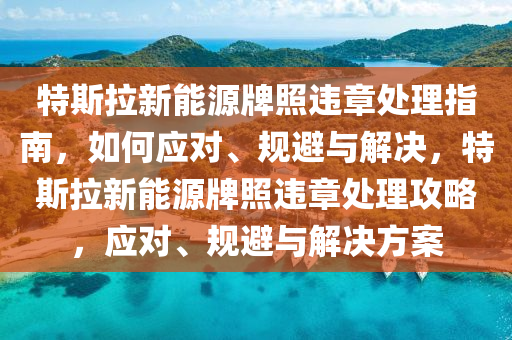 特斯拉新能源牌照违章处理指南，如何应对、规避与解决，特斯拉新能源牌照违章处理攻略，应对、规避与解决方案