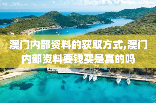 澳门内部资料的获取方式,澳门内部资料要钱买是真的吗