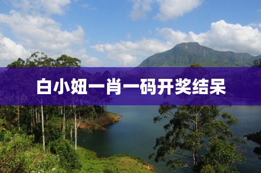 白小妞一肖一码开奖结呆