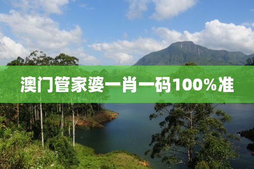 澳门管家婆一肖一码100%准