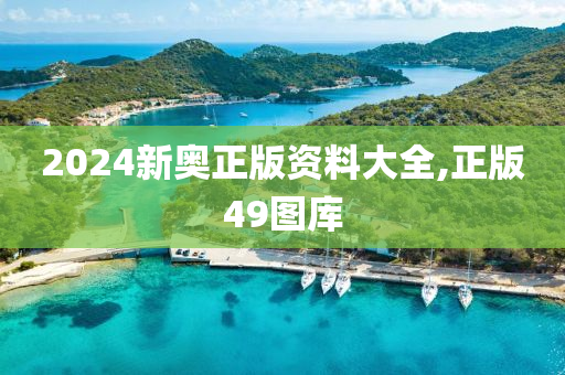 2024新奥正版资料大全,正版49图库