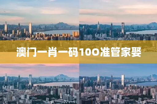 澳门一肖一码10O准管家娶