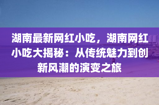 湖南最新网红小吃，湖南网红小吃大揭秘：从传统魅力到创新风潮的演变之旅