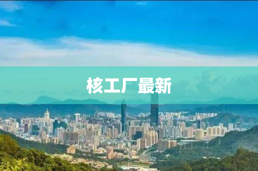 核工厂最新