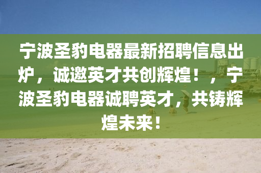 宁波圣豹电器最新招聘信息出炉，诚邀英才共创辉煌！，宁波圣豹电器诚聘英才，共铸辉煌未来！