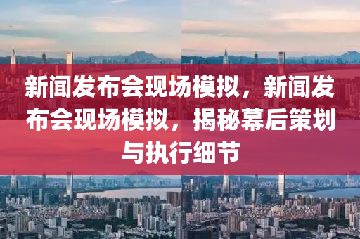 新闻发布会现场模拟，新闻发布会现场模拟，揭秘幕后策划与执行细节