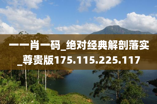一一肖一码_绝对经典解剖落实_尊贵版175.115.225.117