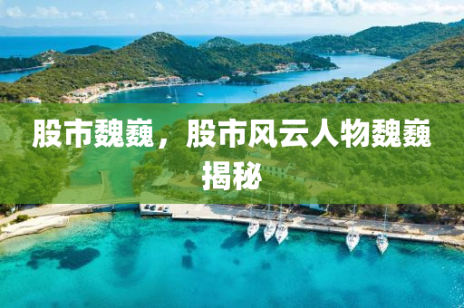 股市魏巍，股市风云人物魏巍揭秘