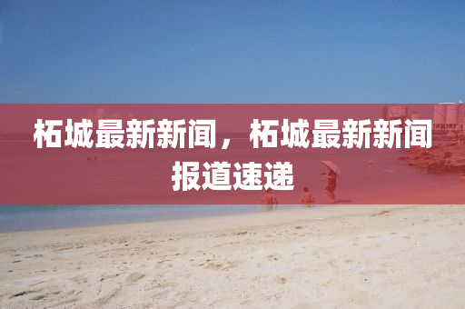 柘城最新新闻，柘城最新新闻报道速递