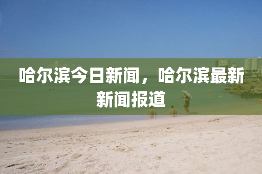 哈尔滨今日新闻，哈尔滨最新新闻报道