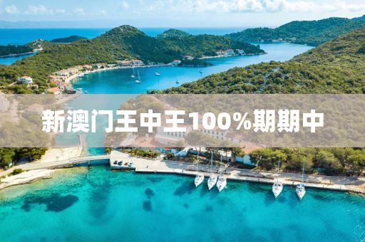 新澳门王中王100%期期中