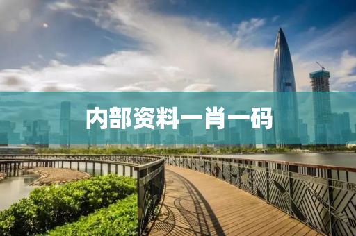内部资料一肖一码