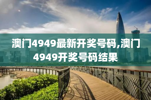 澳门4949最新开奖号码,澳门4949开奖号码结果