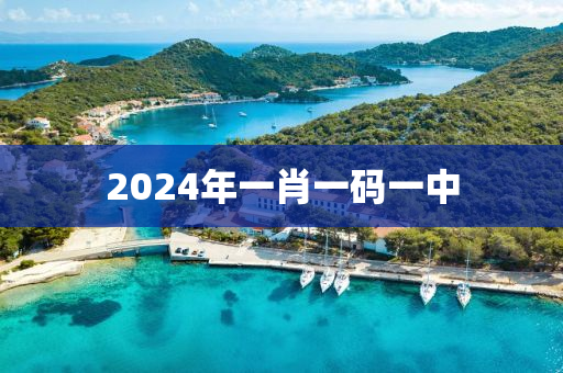 2024年一肖一码一中