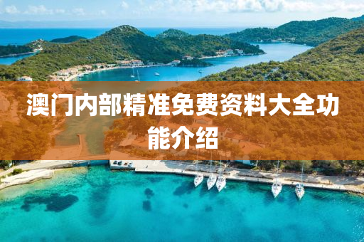 澳门内部精准免费资料大全功能介绍