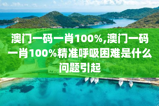 澳门一码一肖100%,澳门一码一肖100%精准呼吸困难是什么问题引起