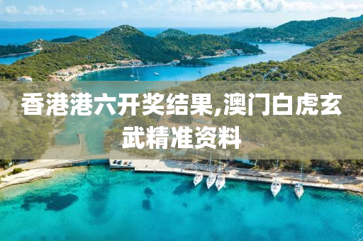 历史 第372页