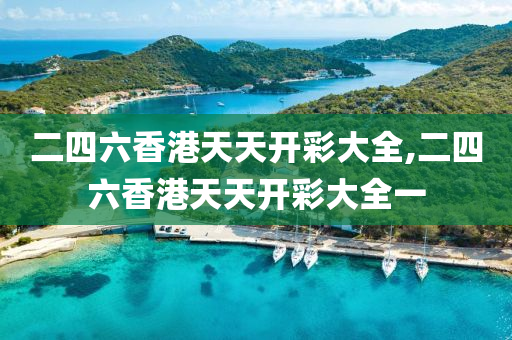 二四六香港天天开彩大全,二四六香港天天开彩大全一