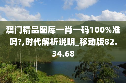 澳门精品图库一肖一码100%准吗?,时代解析说明_移动版82.34.68